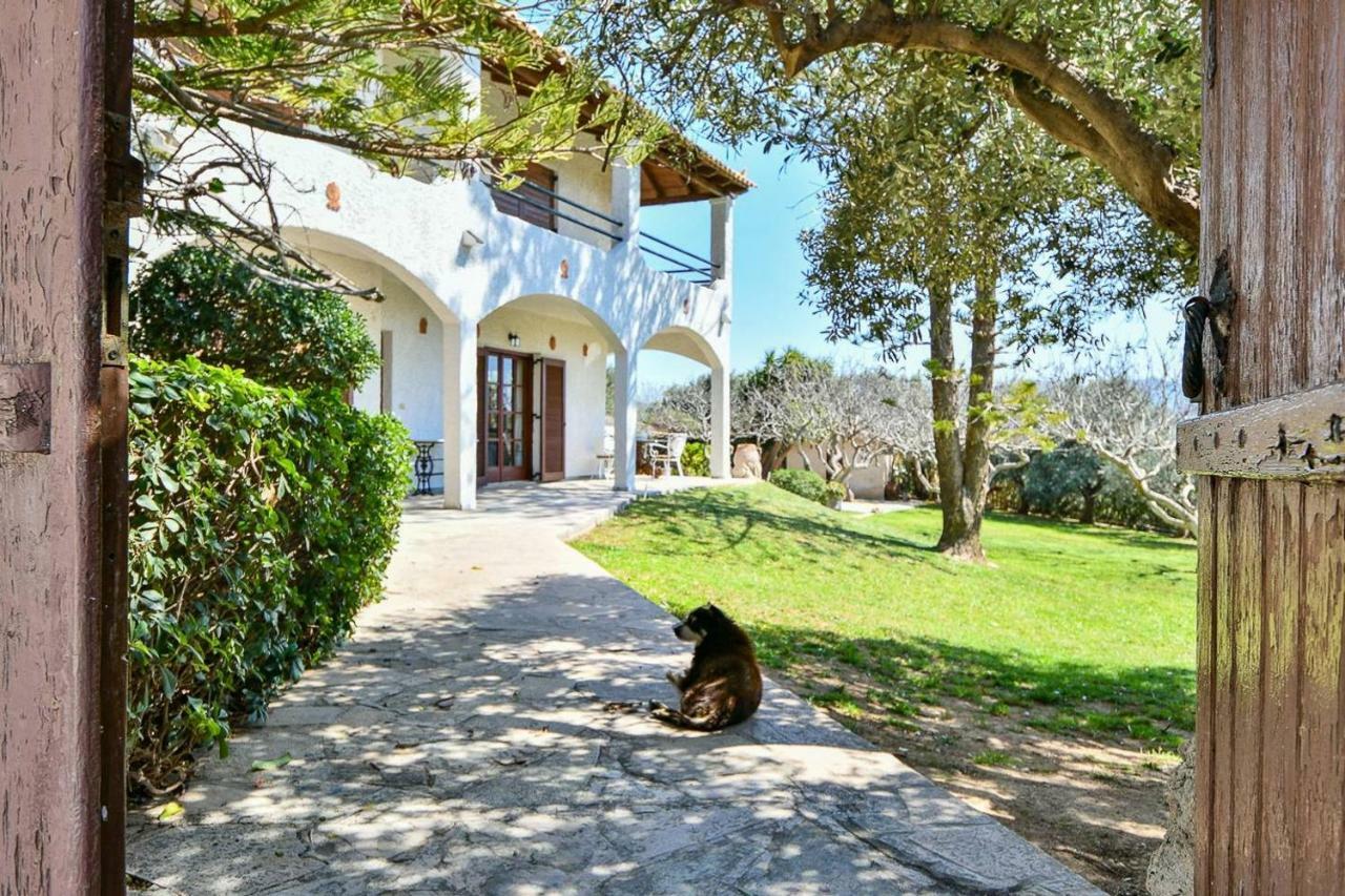 Light-Filled Home With Garden Near Beach 아나비소스 외부 사진